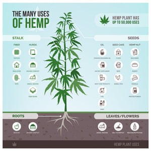 10 things you may not know about HEMP. The Swiss Army knife of Plants!