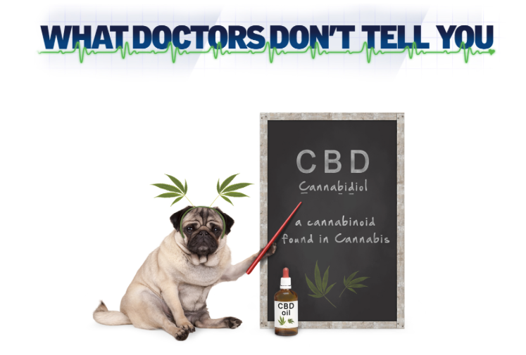 How to find a good quality Cannabis/CBD oil and why choose The Canni Family products?