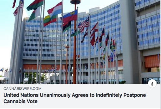 Why the UN's decision to unanimously postpone the Cannabis vote is a huge blow!