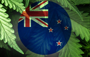 Now that's what I call a referendum! New Zealand's vote on Cannabis and End of Life Choice!